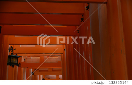 伏見稲荷大社の千本鳥居(京都府) 132835144