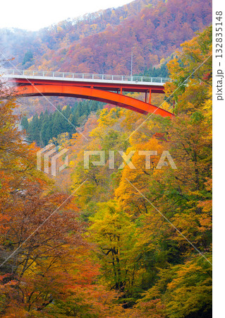 小安峡大噴湯の遊歩道 小安峡大噴湯の遊歩道 132835148