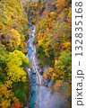 秋の小安峡大噴湯の遊歩道 132835168