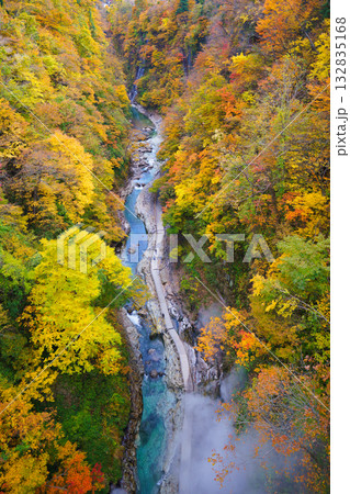 秋の小安峡大噴湯の遊歩道 秋の小安峡大噴湯の遊歩道 132835168