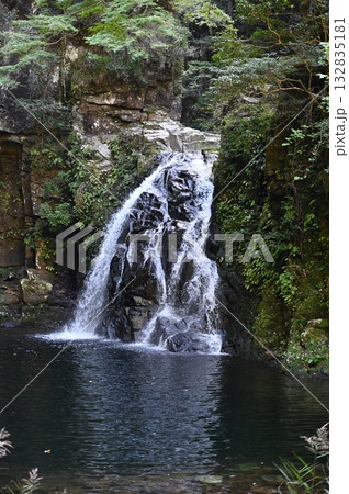 赤目四十八滝　赤目五瀑　千手滝 132835181