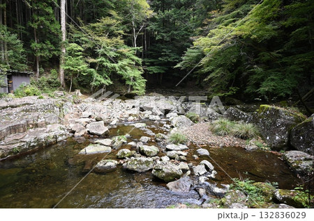 赤目四十八滝 清流の渓谷 名張市 赤目四十八滝 清流の渓谷 名張市 132836029