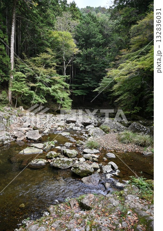 赤目四十八滝　清流の渓谷　名張市 132836031