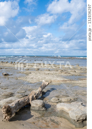 晴天のもと島根県の千畳敷を散策する 海沿いに散らばる奇形の岩 日本海の荒々しい海 晴天のもと島根県の千畳敷を散策する 海沿いに散らばる奇形の岩 日本海の荒々しい海 132836297