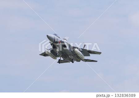 着陸態勢の飛行教導群 アグレッサー部隊のF-15ⅮJ 着陸態勢の飛行教導群 アグレッサー部隊のF-15ⅮJ 132836389