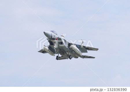 着陸態勢の飛行教導群 アグレッサー部隊のF-15ⅮJ 着陸態勢の飛行教導群 アグレッサー部隊のF-15ⅮJ 132836390
