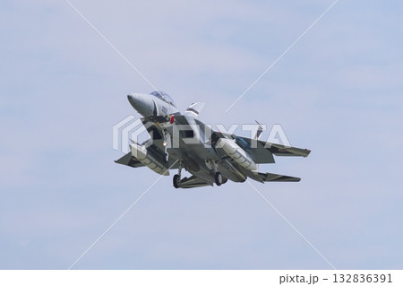 着陸態勢の飛行教導群　アグレッサー部隊のF-15ⅮJ 132836391
