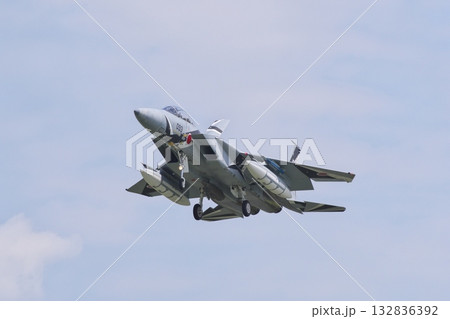 着陸態勢の飛行教導群 アグレッサー部隊のF-15ⅮJ 着陸態勢の飛行教導群 アグレッサー部隊のF-15ⅮJ 132836392