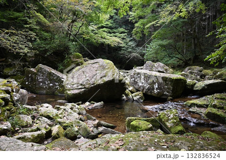 赤目四十八滝 百畳岩 名張市 赤目四十八滝 百畳岩 名張市 132836524