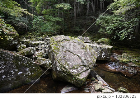 赤目四十八滝　百畳岩　名張市 132836525