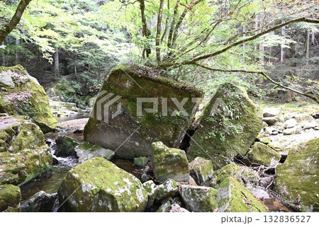 赤目四十八滝 百畳岩 名張市 赤目四十八滝 百畳岩 名張市 132836527