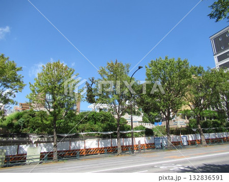 本郷一丁目・外堀通り 本郷一丁目・外堀通り 132836591