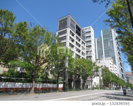 本郷一丁目・外堀通り 本郷一丁目・外堀通り 132836593