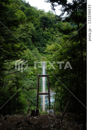 深い森の中にひっそりとある橋　 132836635