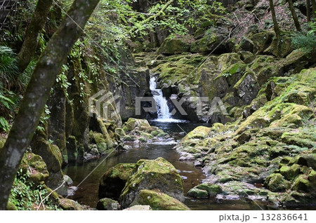 赤目四十八滝　柿窪滝　名張市 132836641