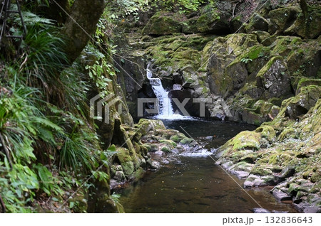 赤目四十八滝 柿窪滝 名張市 赤目四十八滝 柿窪滝 名張市 132836643