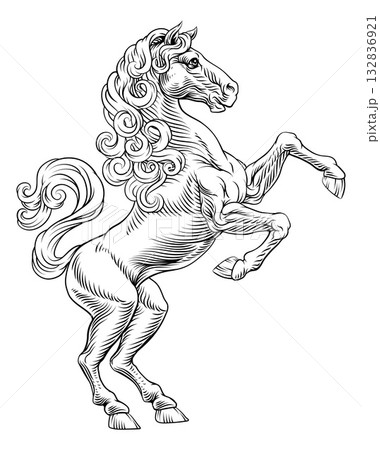 Heraldic Coat of Arms Crest Rearing Heraldry Horse Heraldic Coat of Arms Crest Rearing Heraldry Horse 132836921