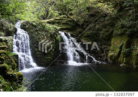 赤目四十八滝　赤目五瀑　荷担滝 132837097