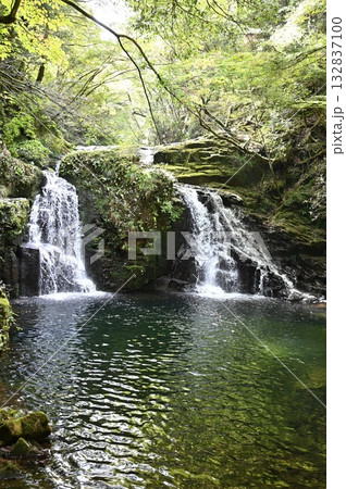 赤目四十八滝　赤目五瀑　荷担滝 132837100