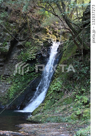 赤目四十八滝　赤目五瀑　琵琶滝 132837273