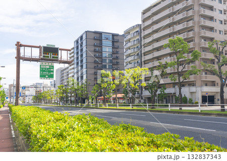 新なにわ筋　中央図書館前交差点付近 132837343