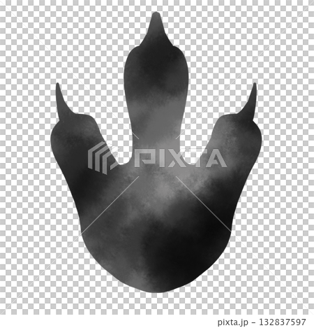 霸王龍水彩腳印輪廓 132837597