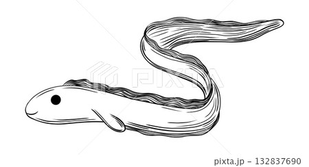 Cute Eel Fish Hand Drawn Engraving Sketch Cute Eel Fish Hand Drawn Engraving Sketch 132837690