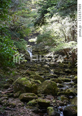 赤目四十八滝　夫婦滝　名張市 132837989