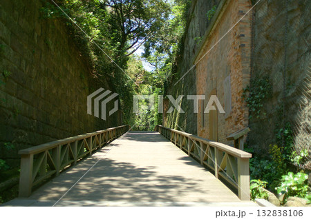 神奈川県　横須賀市　猿島（要塞の切通し） 132838106