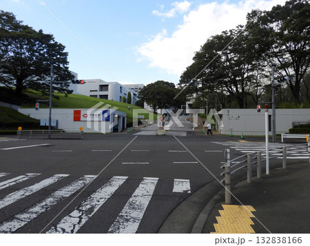 中央大学 132838166