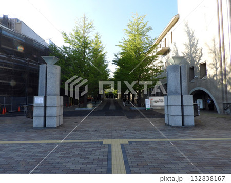 都立大学 132838167