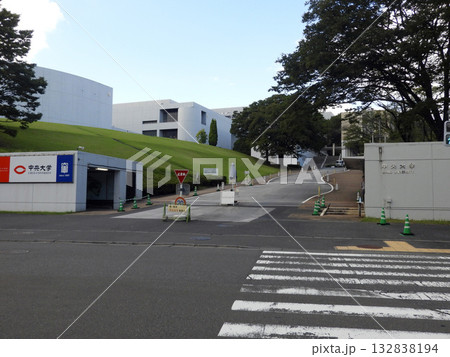 中央大学 132838194