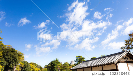 秋の爽やかな青空と世界文化遺産で国宝姫路城のある風景 秋の爽やかな青空と世界文化遺産で国宝姫路城のある風景 132838448