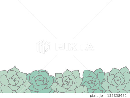 多肉植物フレーム横長下側 多肉植物フレーム横長下側 132838482