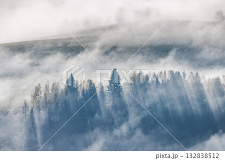 Misty forest scene with sunlight streaming through the trees. Atmospheric serene and evocative. A peaceful nature landscape. 132838512