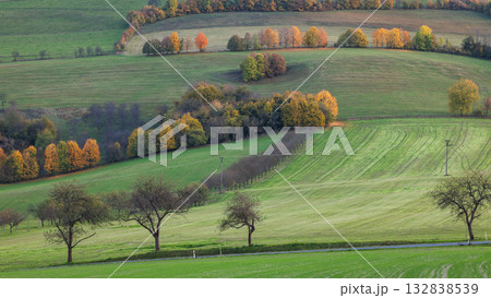 Rolling green hills with colorful trees. A road cuts through the landscape. Autumn foliage paints the scene with warm colors. Moravia region of Czech Republic, Europe. 132838539