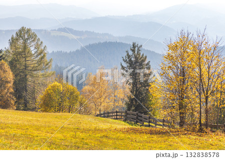 Golden autumn landscape with trees a fence and misty mountains in the background Serene scenic view Moravia region of Czech Republic, Europe. Golden autumn landscape with trees a fence and misty mountains in the background Serene scenic view Moravia region of Czech Republic, Europe. 132838578