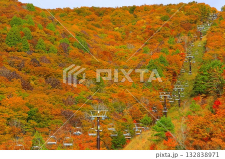 秋の5線サウスリフト(岩岳ゴンドラリフト・長野県白馬村) 秋の5線サウスリフト(岩岳ゴンドラリフト・長野県白馬村) 132838971