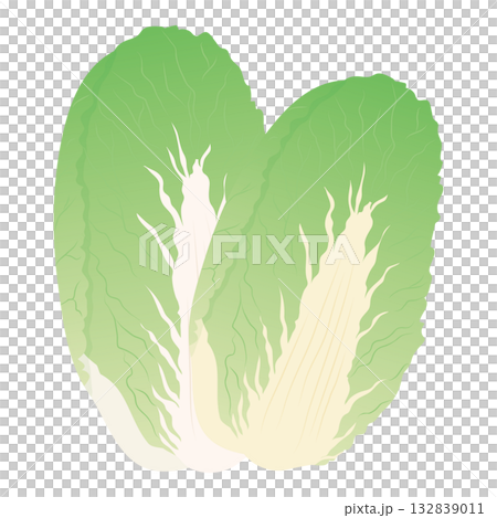 大白菜向量圖標，葉菜類蔬菜插圖素材 132839011