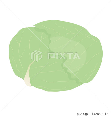キャベツのアイコン　葉物野菜のイラスト素材 132839012