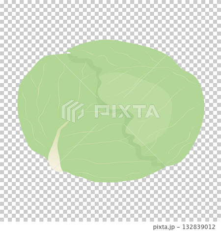 キャベツのアイコン　葉物野菜のイラスト素材 132839012