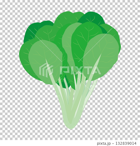 小松菜　葉物野菜のイラスト素材 132839014