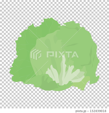 Lettuce leafy vegetable illustration material Lettuce leafy vegetable illustration material 132839018