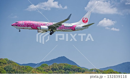日本トランスオーシャン航空(JTA)のさくらジンベエ 日本トランスオーシャン航空(JTA)のさくらジンベエ 132839118