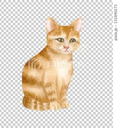 Sitting ginger kitten with stripes watercolor illustration isolated on white. Little cute domestic cat clip art for realistic designs with animals and pets and rescue centers 132840273