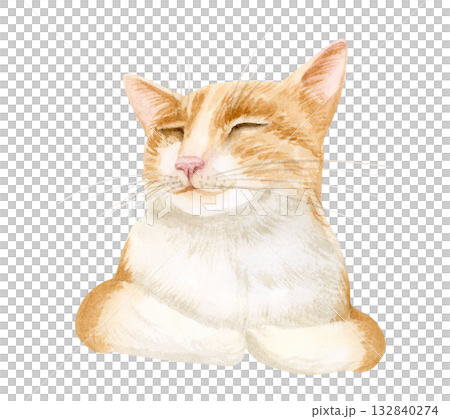 Sleepy orange white cat watercolor isolated illustration. Cute and funny ginger pet portrait for stickers and kids designs. Domestic animal clip art for pet stores, shelters and adoption centers 132840274