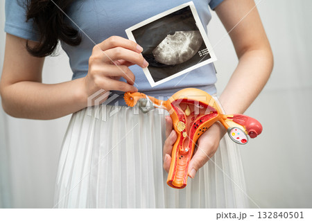 Uterus ultrasound, Asian woman holding human anatomy model. 132840501