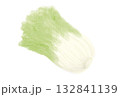 ソフトパステルで描いた白菜のイラスト 132841139