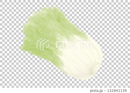 用柔和的粉彩繪製的中國白菜插圖 132841139