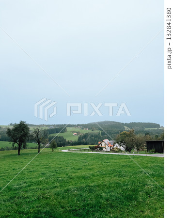 Green grass field with trees and winding road leading to houses in Austrian countryside with hills and forest in background under cloudy sky. Verdant meadow stretching toward rural Austrian landscape Green grass field with trees and winding road leading to houses in Austrian countryside with hills and forest in background under cloudy sky. Verdant meadow stretching toward rural Austrian landscape 132841380